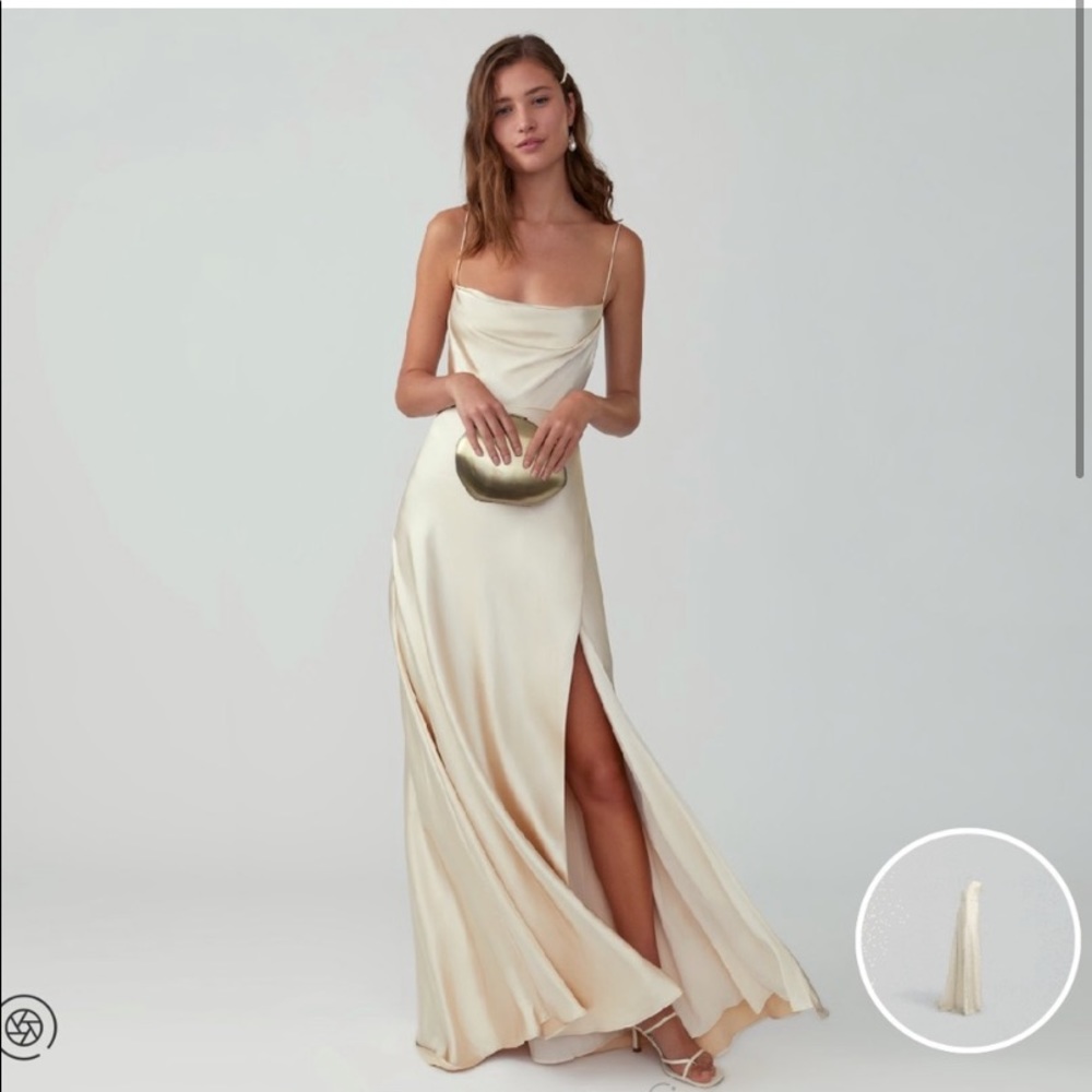 Fame and partners champagne gown NWT